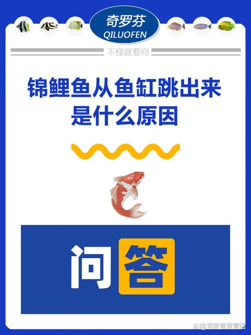 为什么鱼跳缸都是晚上?为什么鱼会出现跳缸行为呢???-第6张图片-屿企百科网 为什么鱼跳缸都是晚上?为什么鱼会出现跳缸行为呢???-第6张图片-屿企百科网