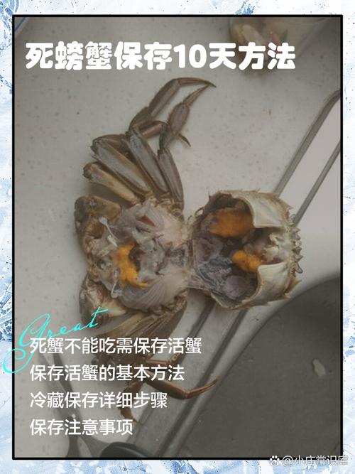 螃蟹保存方法保鲜不死，螃蟹如何保鲜存放-第2张图片-屿企百科网