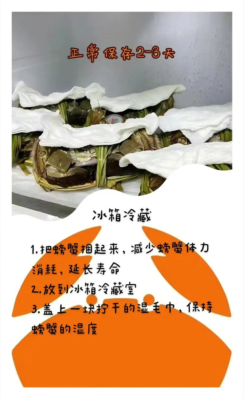 螃蟹保存方法保鲜不死，螃蟹如何保鲜存放-第5张图片-屿企百科网
