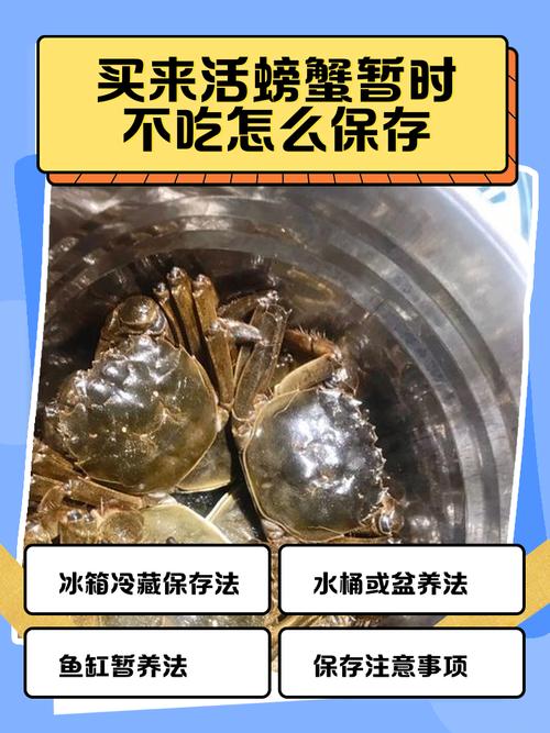螃蟹保存方法保鲜不死，螃蟹如何保鲜存放-第6张图片-屿企百科网