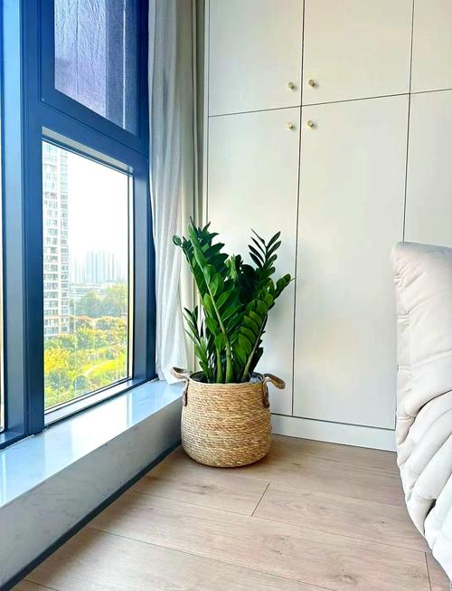 房间里放植物能增强活力阳气吗，判断房子的阳气和阴气有什么方法的简单介绍-第7张图片-屿企百科网