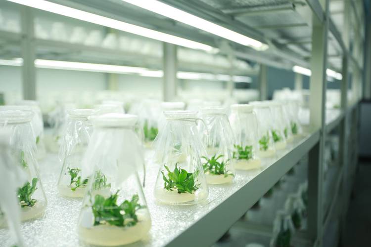 工器具消毒根据消毒方法的不同分为，工器具消毒流程-第2张图片-屿企百科网