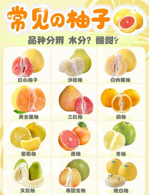 西柚是什么水果？西柚和柚子有啥区别？