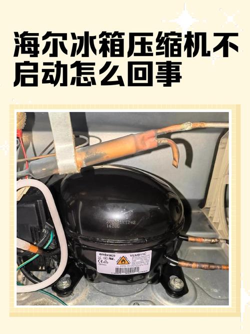 海尔冰箱压缩机是什么牌子的，常用品牌推荐，海尔冰箱压缩机是什么牌子的,常用品牌推荐一下-第6张图片-屿企百科网