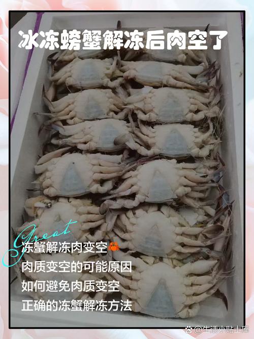 螃蟹冻多久会空壳，冷冻螃蟹怎么做好吃，螃蟹冷冻几小时会死-第4张图片-屿企百科网