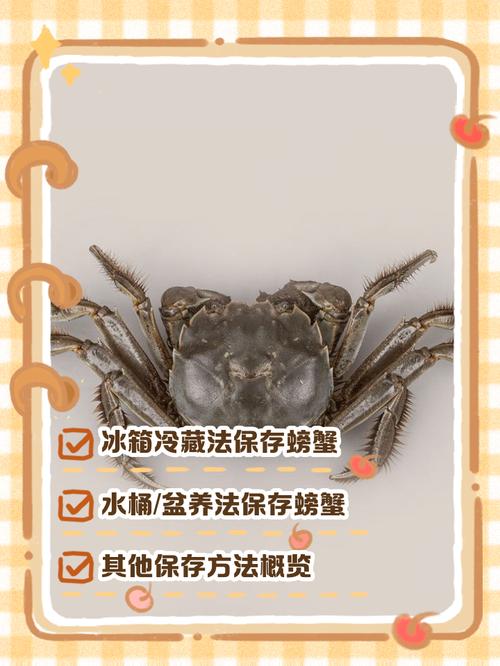 螃蟹冻多久会空壳，冷冻螃蟹怎么做好吃，螃蟹冷冻几小时会死-第5张图片-屿企百科网