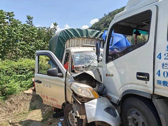 为什么大货车司机不怕撞死人,开车撞死人了全责会坐牢吗,大货车的司机撞死人要负责吗?-第5张图片-屿企百科网 为什么大货车司机不怕撞死人,开车撞死人了全责会坐牢吗,大货车的司机撞死人要负责吗?-第5张图片-屿企百科网