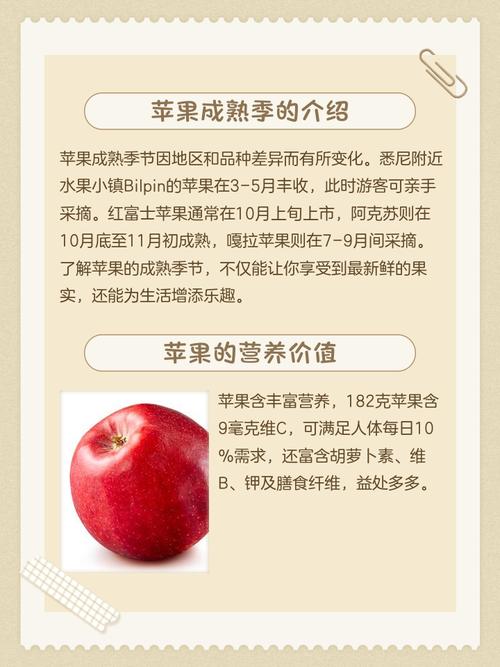 苹果是什么季节成熟，苹果是什么季节的?几月份苹果成熟?？-第4张图片-屿企百科网