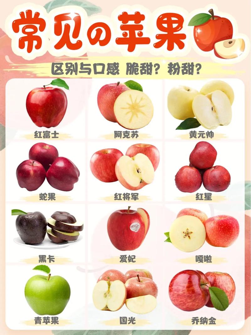 苹果是什么季节成熟，苹果是什么季节的?几月份苹果成熟?？-第6张图片-屿企百科网