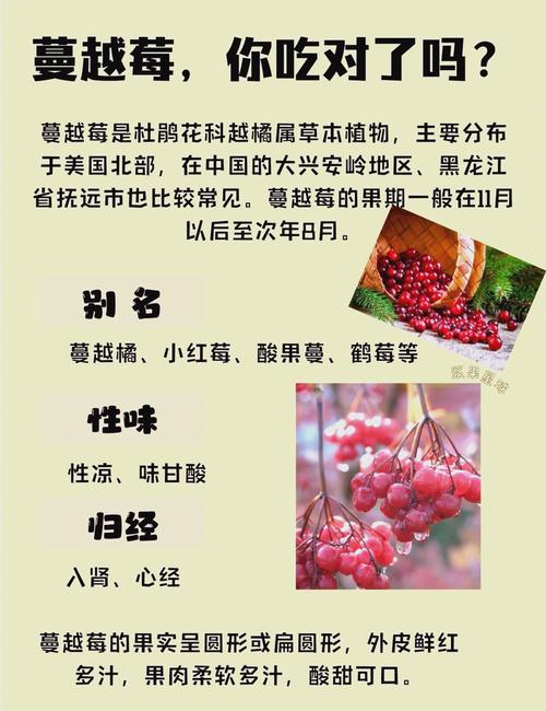 蔓越莓是什么水果,蔓越莓一斤多少元?-第2张图片-屿企百科网 蔓越莓是什么水果,蔓越莓一斤多少元?-第2张图片-屿企百科网