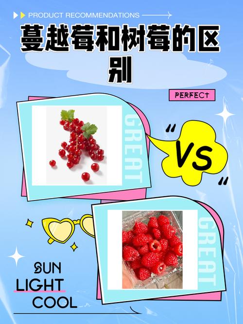 蔓越莓是什么水果,蔓越莓一斤多少元?-第4张图片-屿企百科网 蔓越莓是什么水果,蔓越莓一斤多少元?-第4张图片-屿企百科网