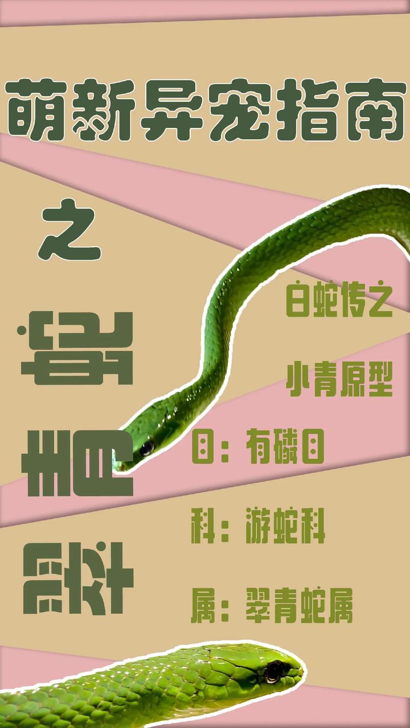 翠青蛇为什么是暴毙王，翠青蛇是什么品种-第3张图片-屿企百科网