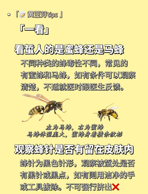 蜜蜂为什么会蜇人，不小心被蜜蜂蜇伤怎么处理最有效？蜜蜂为啥蜇人？-第3张图片-屿企百科网