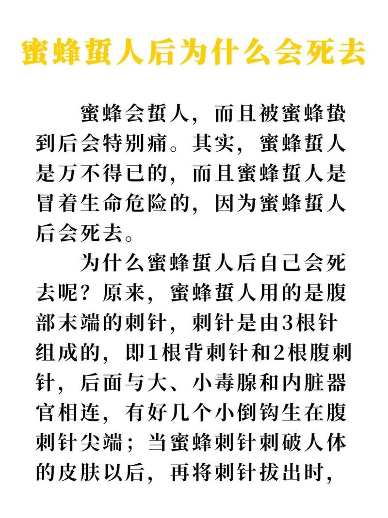 蜜蜂为什么会蜇人，不小心被蜜蜂蜇伤怎么处理最有效？蜜蜂为啥蜇人？-第6张图片-屿企百科网