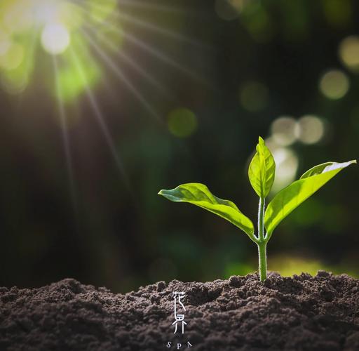 万物复苏是什么季节?万物复苏表示什么季节?-第2张图片-屿企百科网 万物复苏是什么季节?万物复苏表示什么季节?-第2张图片-屿企百科网