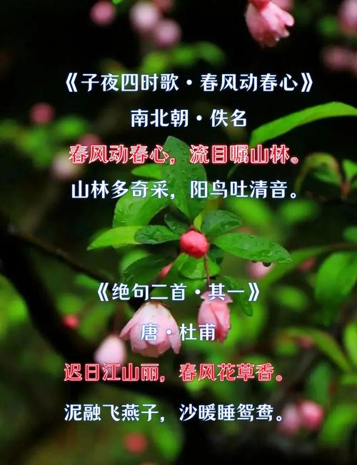 万物复苏是什么季节?万物复苏表示什么季节?-第6张图片-屿企百科网 万物复苏是什么季节?万物复苏表示什么季节?-第6张图片-屿企百科网