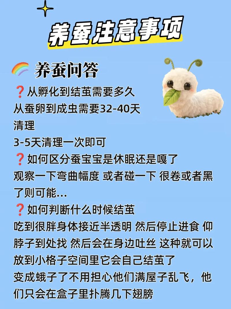 养蚕是什么季节，养蚕的季节从几月到几月份-第2张图片-屿企百科网