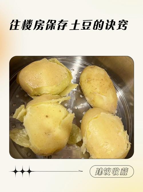 土豆的储存方法，妙招，土豆的正确储存方法？-第1张图片-屿企百科网
