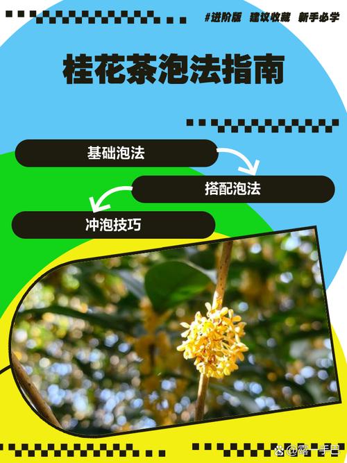 新鲜桂花怎么做桂花茶，新鲜桂花怎样做桂花茶？-第2张图片-屿企百科网