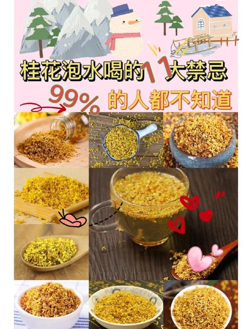 新鲜桂花怎么做桂花茶，新鲜桂花怎样做桂花茶？-第5张图片-屿企百科网