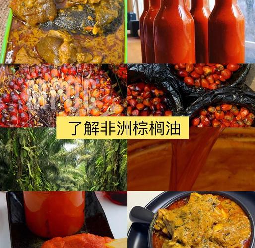 棕榈油是什么油?方便面里的棕榈油是什么油?-第2张图片-屿企百科网 棕榈油是什么油?方便面里的棕榈油是什么油?-第2张图片-屿企百科网