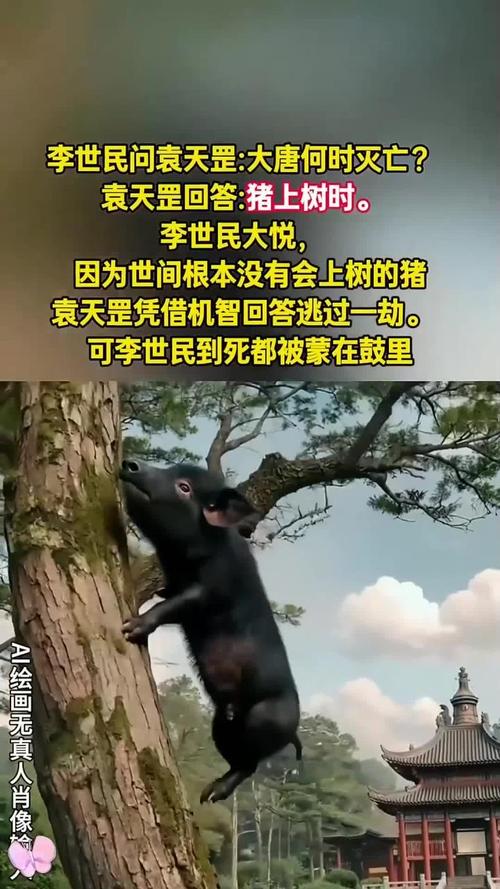 猪上树是暗示什么吗，猪上树是什么意思？猪上树是啥意思？-第1张图片-屿企百科网