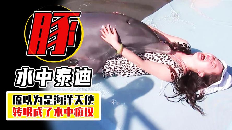 海豚为什么亲近人类,为什么海豚对人类有好感?-第1张图片-屿企百科网 海豚为什么亲近人类,为什么海豚对人类有好感?-第1张图片-屿企百科网