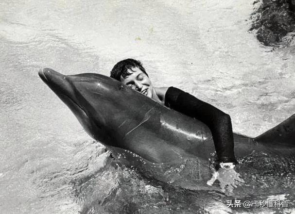 海豚为什么亲近人类,为什么海豚对人类有好感?-第4张图片-屿企百科网 海豚为什么亲近人类,为什么海豚对人类有好感?-第4张图片-屿企百科网