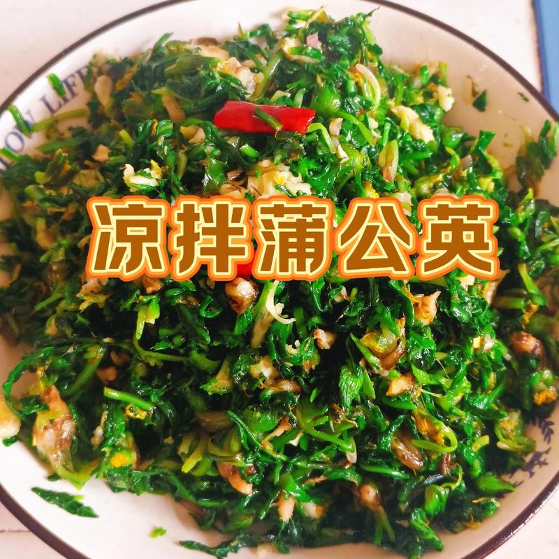 蒲公英怎么做菜好吃？蒲公英怎么做菜好吃又简单？-第8张图片-屿企百科网