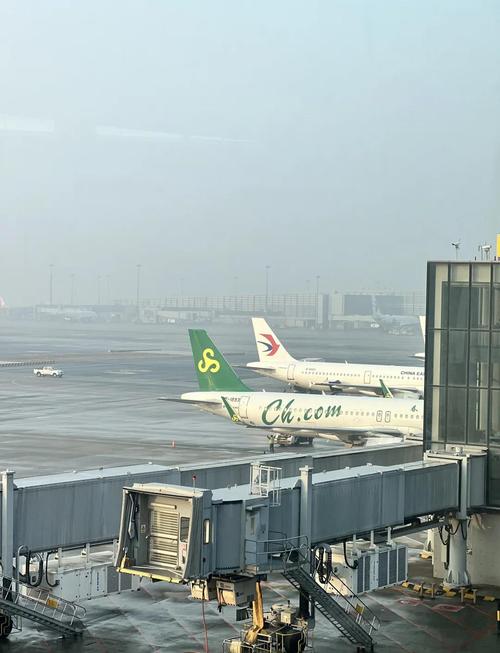 上海浦东天气预报全天，上海浦东天气预报实时天气-第4张图片-屿企百科网