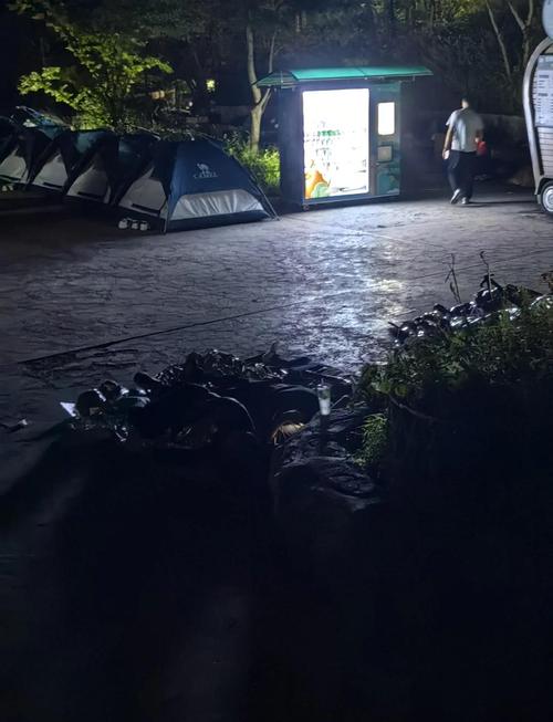 黄山山顶的天气温度有多少？近几天黄山顶温度多少？-第7张图片-屿企百科网