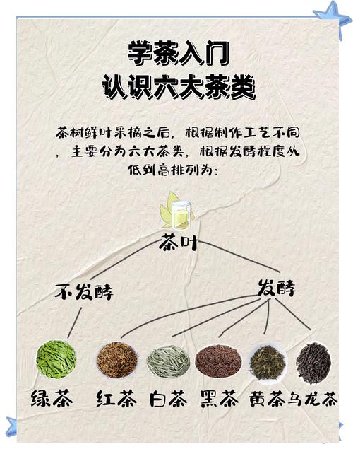 普洱茶知识，普洱茶知识普及
