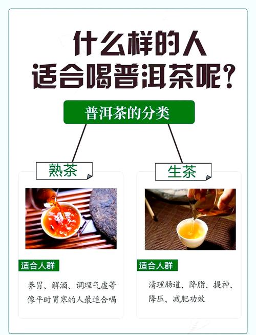 普洱茶知识，普洱茶知识普及-第3张图片-屿企百科网