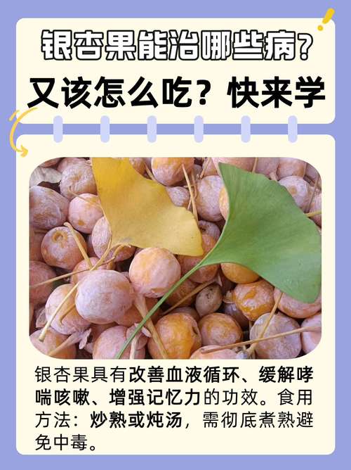 银杏果为什么是臭的，银杏果为啥这么臭-第3张图片-屿企百科网