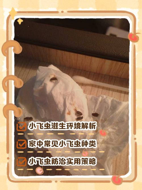 家里虫子多是什么原因，家里虫子多有什么兆头-第1张图片-屿企百科网