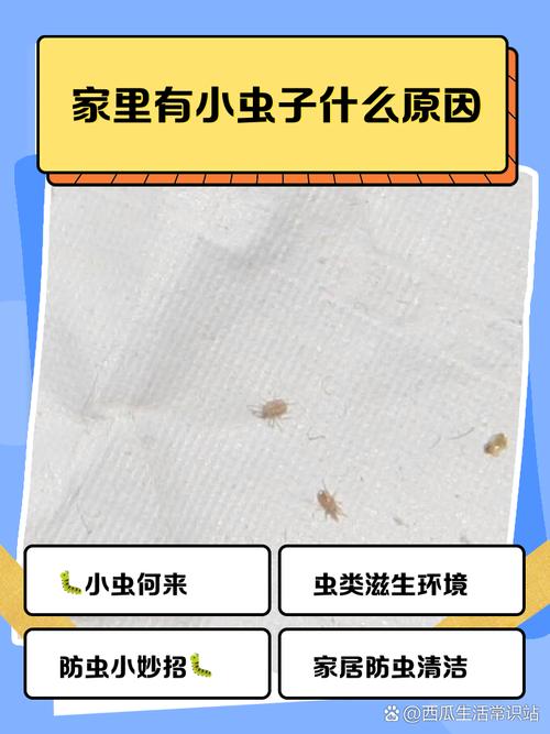 家里虫子多是什么原因，家里虫子多有什么兆头-第2张图片-屿企百科网