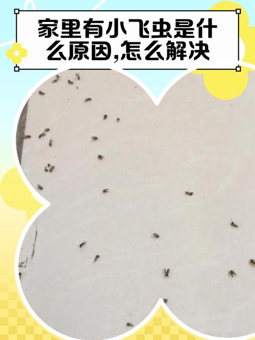 家里虫子多是什么原因，家里虫子多有什么兆头-第4张图片-屿企百科网