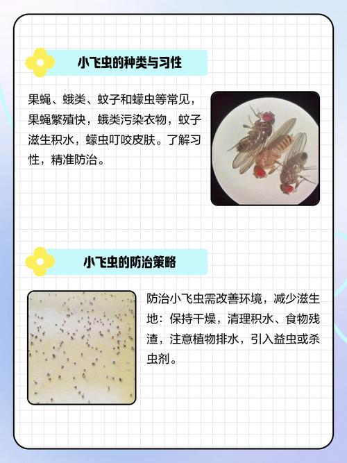 家里虫子多是什么原因，家里虫子多有什么兆头-第5张图片-屿企百科网