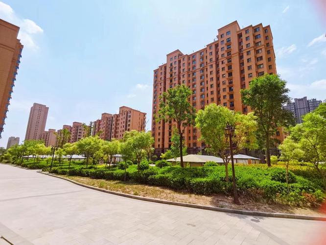 禹城开车限号，禹城南环限行-第4张图片-屿企百科网