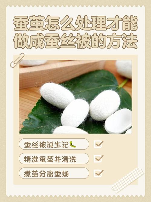 做蚕丝被为什么要杀蛹，做蚕丝被为什么要烫死蚕？-第5张图片-屿企百科网