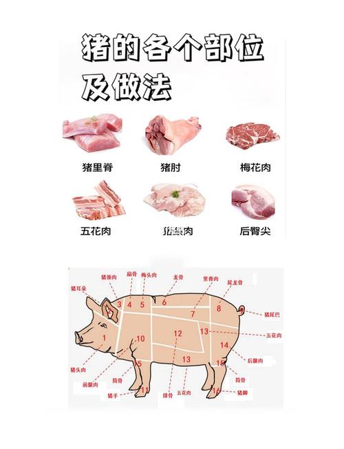 格子肉是什么肉?？格子肉是发物吗？-第3张图片-屿企百科网