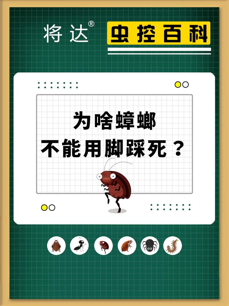 蟑螂为什么会四脚朝天的躺在地上,蟑螂无缘无故四脚朝天-第2张图片-屿企百科网 蟑螂为什么会四脚朝天的躺在地上,蟑螂无缘无故四脚朝天-第2张图片-屿企百科网