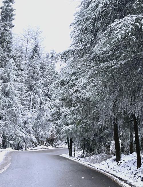 开州最近5天气温，开州最近七天天气？-第2张图片-屿企百科网