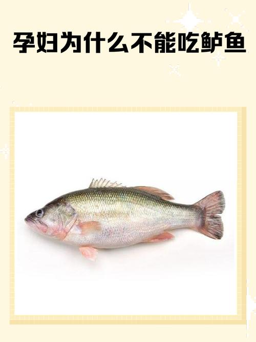 吃鱼为什么不能够翻身,吃鱼有什么禁忌,吃鱼是否不能翻鱼身?-第2张图片-屿企百科网 吃鱼为什么不能够翻身,吃鱼有什么禁忌,吃鱼是否不能翻鱼身?-第2张图片-屿企百科网