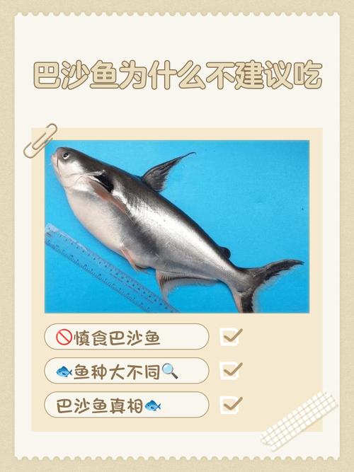 吃鱼为什么不能够翻身,吃鱼有什么禁忌,吃鱼是否不能翻鱼身?-第4张图片-屿企百科网 吃鱼为什么不能够翻身,吃鱼有什么禁忌,吃鱼是否不能翻鱼身?-第4张图片-屿企百科网