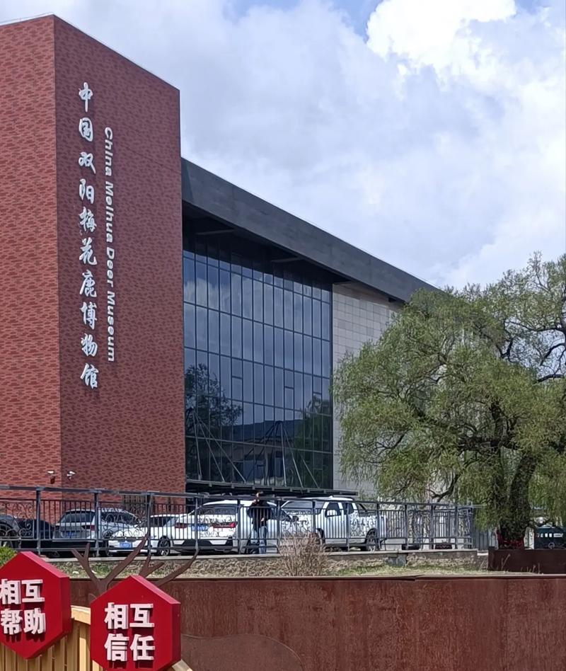 双阳区自然气候条件？双阳区气温多少度？-第2张图片-屿企百科网