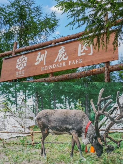 双阳区自然气候条件？双阳区气温多少度？-第5张图片-屿企百科网