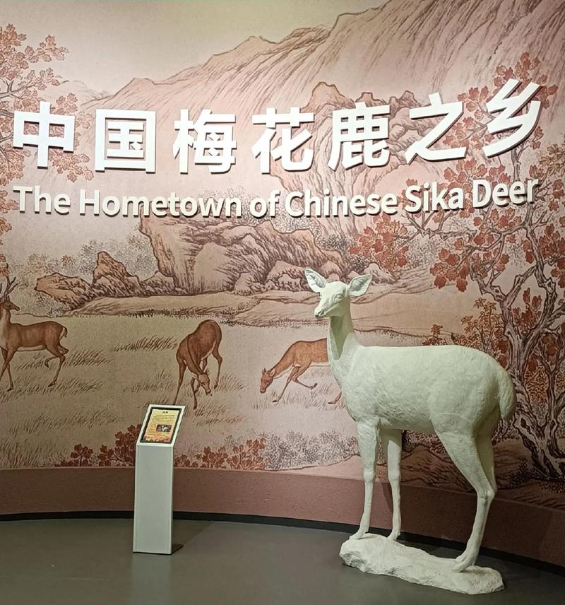 双阳区自然气候条件？双阳区气温多少度？-第7张图片-屿企百科网