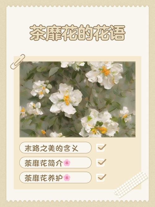 花开荼蘼下一句是什么,花开荼蘼啥意思-第6张图片-屿企百科网 花开荼蘼下一句是什么,花开荼蘼啥意思-第6张图片-屿企百科网