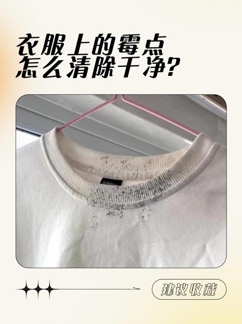 衣服发霉用什么方法可以去除，衣服发霉怎么快速去除？-第2张图片-屿企百科网